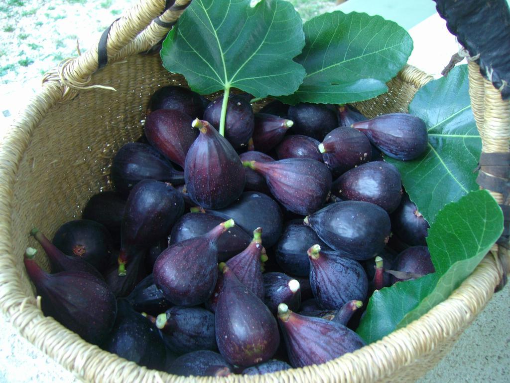 بيفانيا B&B Il Grotto المظهر الخارجي الصورة